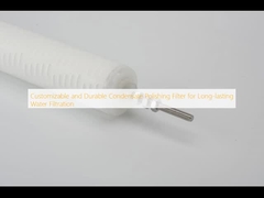 लंबे समय तक पानी के निस्पंदन के लिए अनुकूलन योग्य और टिकाऊ संघनित पॉलिशिंग फ़िल्टर