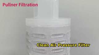 हवा के दबाव के लिए 30 इंच पीटीएफई प्लीटेड फिल्टर कार्ट्रिज